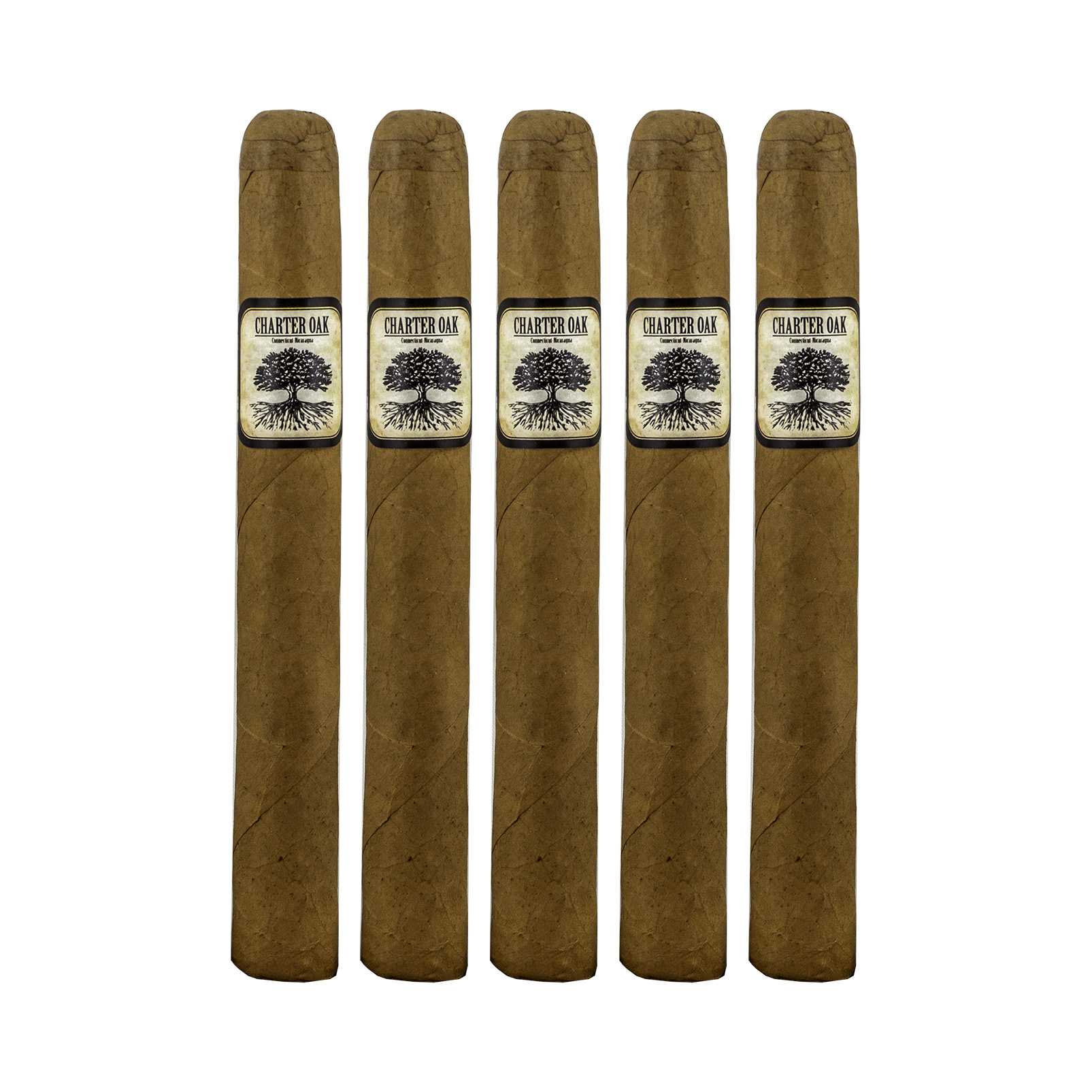 Charter Oak Connecticut Petite Corona Cigar - 5 Pack